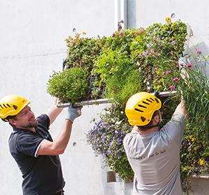 La végétalisation de murs et façades Vivagreen®