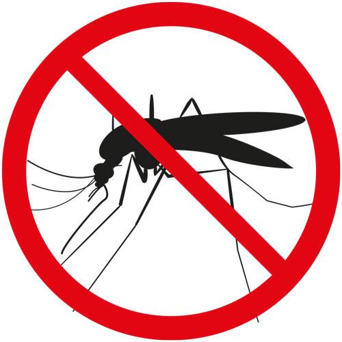 anti-moustique